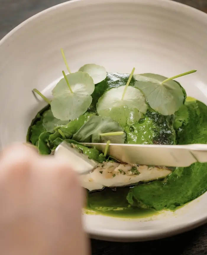 A dish plated with green sauce and watercress, Shaffa GastroBazar, Balangan, Bukit