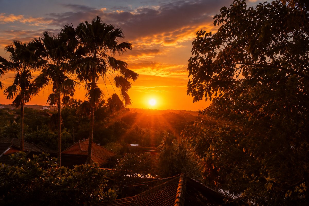 Sunset over the palms from the terrace at Shaffa GastroBazar, Balangan